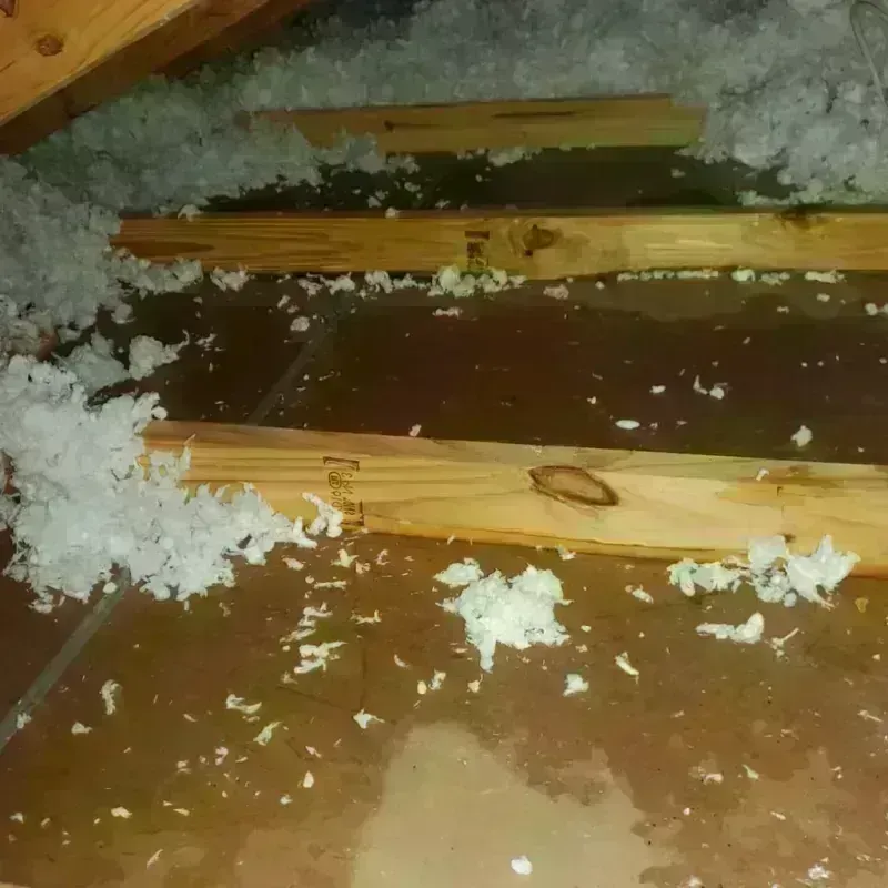 Attic Water Damage in Josephine County, OR