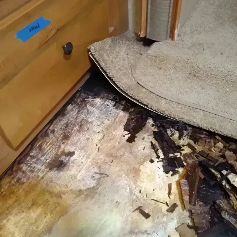 Wood Floor Water Damage in Josephine County, OR